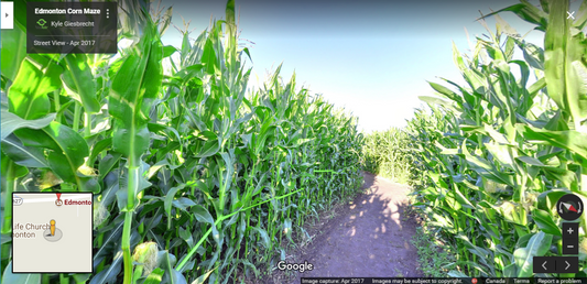 Edmonton Corn Maze